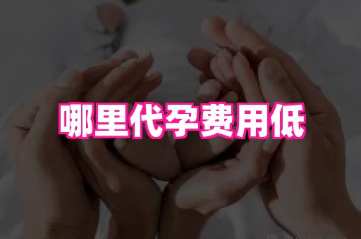 长春助孕网站 2