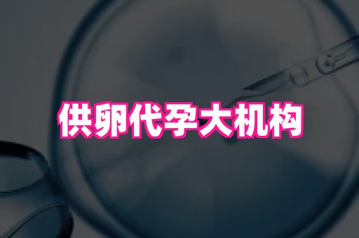 长春助孕网站 4
